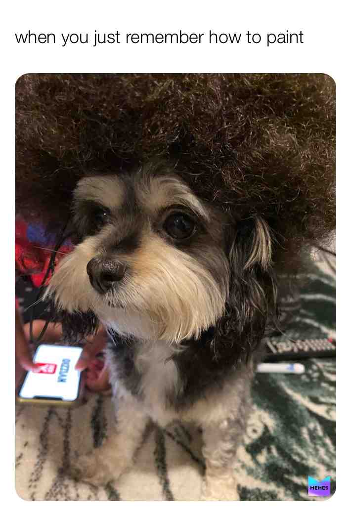 Meme shared by @abellathegooddog