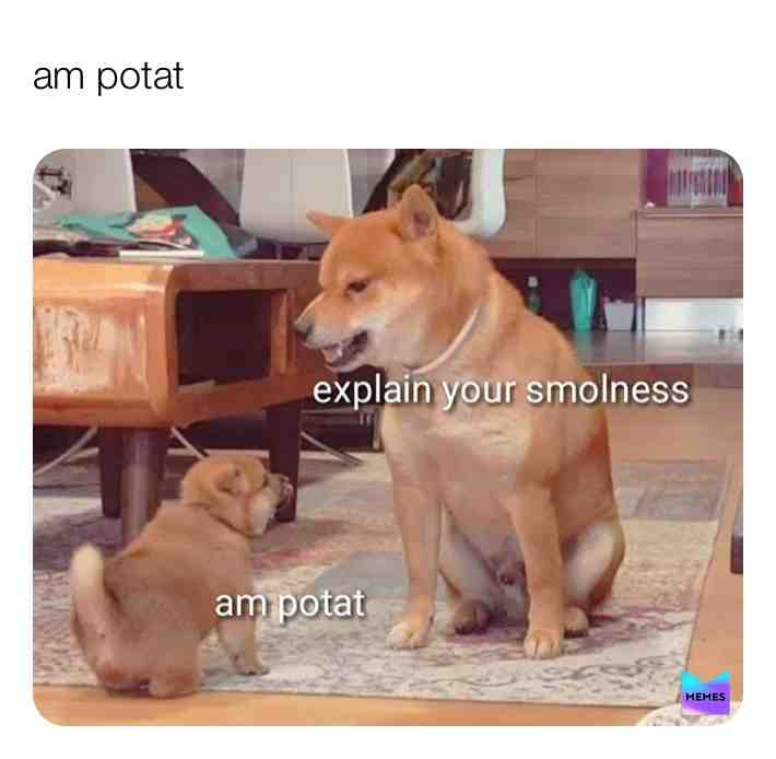 Am POtAt