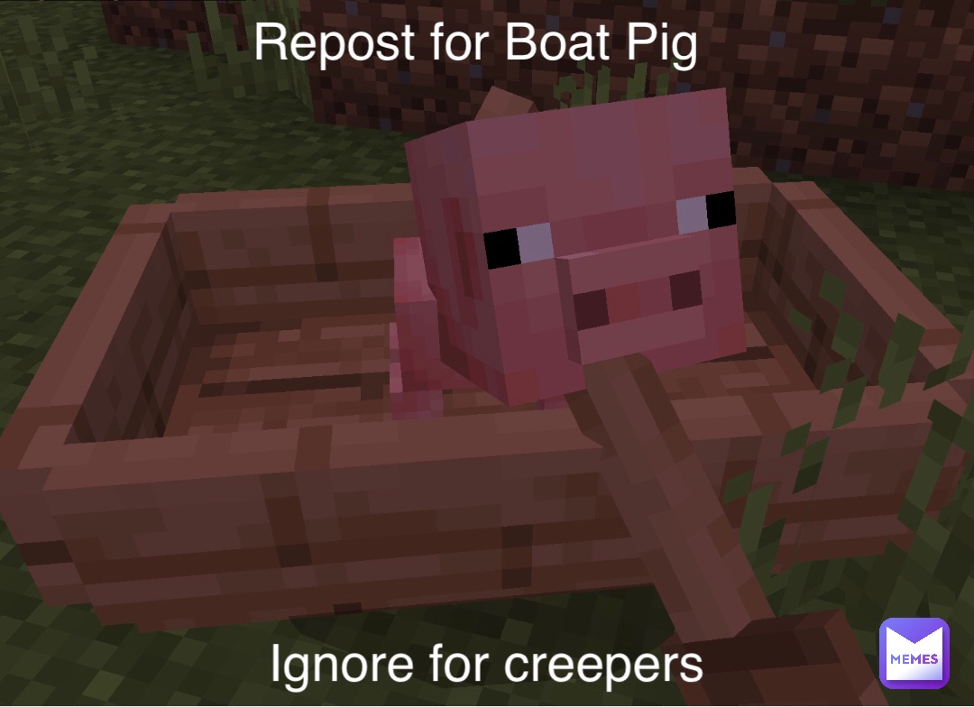 Repost for Boat Pig Ignore for creepers