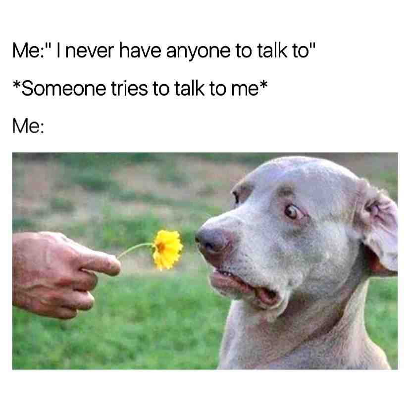 Lol 😂