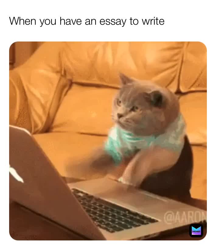 Meme shared by @Michelle_Writer