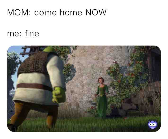 Meme shared by @dbombinaion