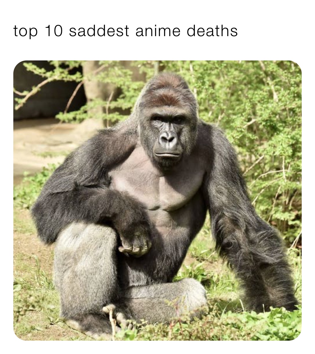 top 10 saddest anime deaths 