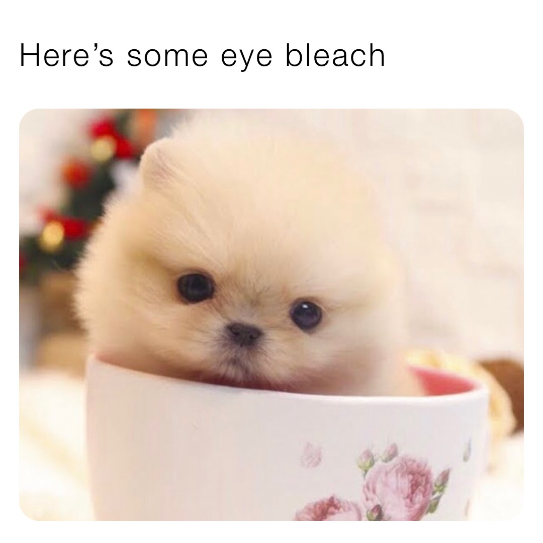 Here’s some eye bleach