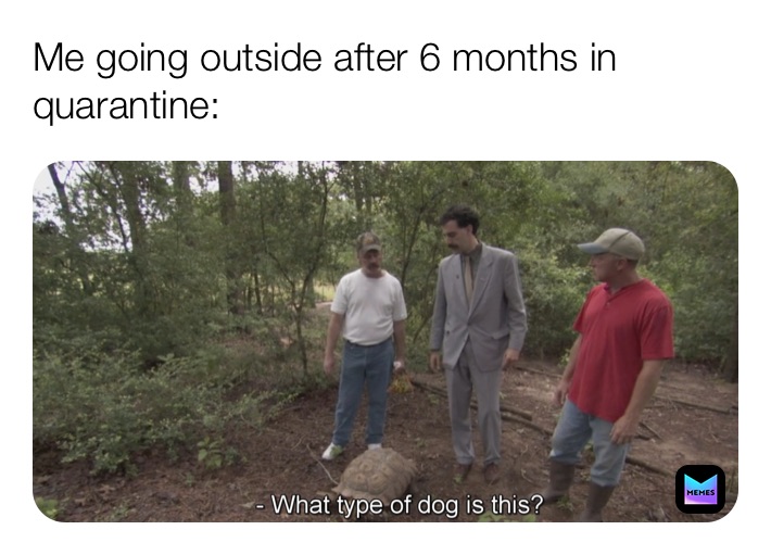 Meme by nightforest74