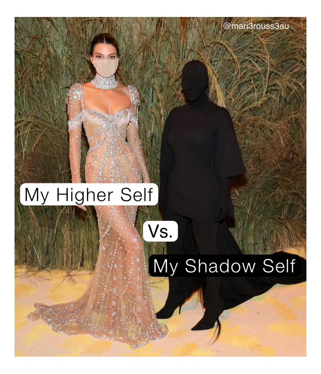 My Higher Self My Shadow Self Vs.