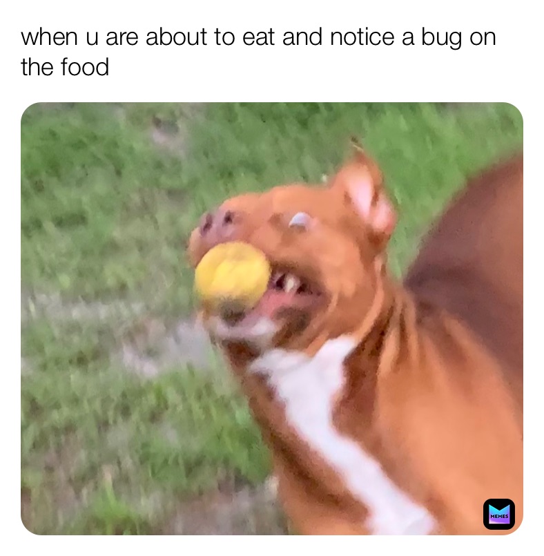 Meme by ricos_memehouse