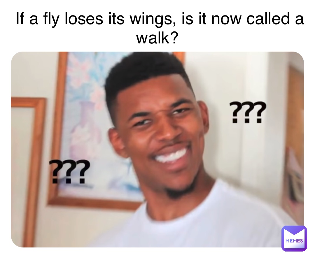 If a fly loses its wings, is it now called a walk?