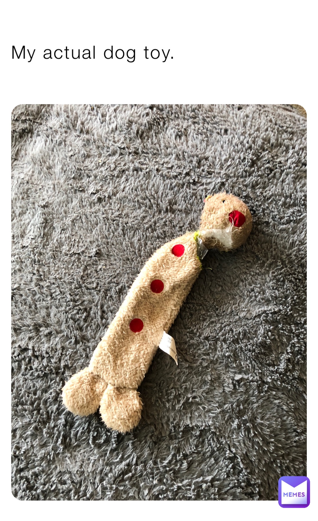 My actual dog toy.