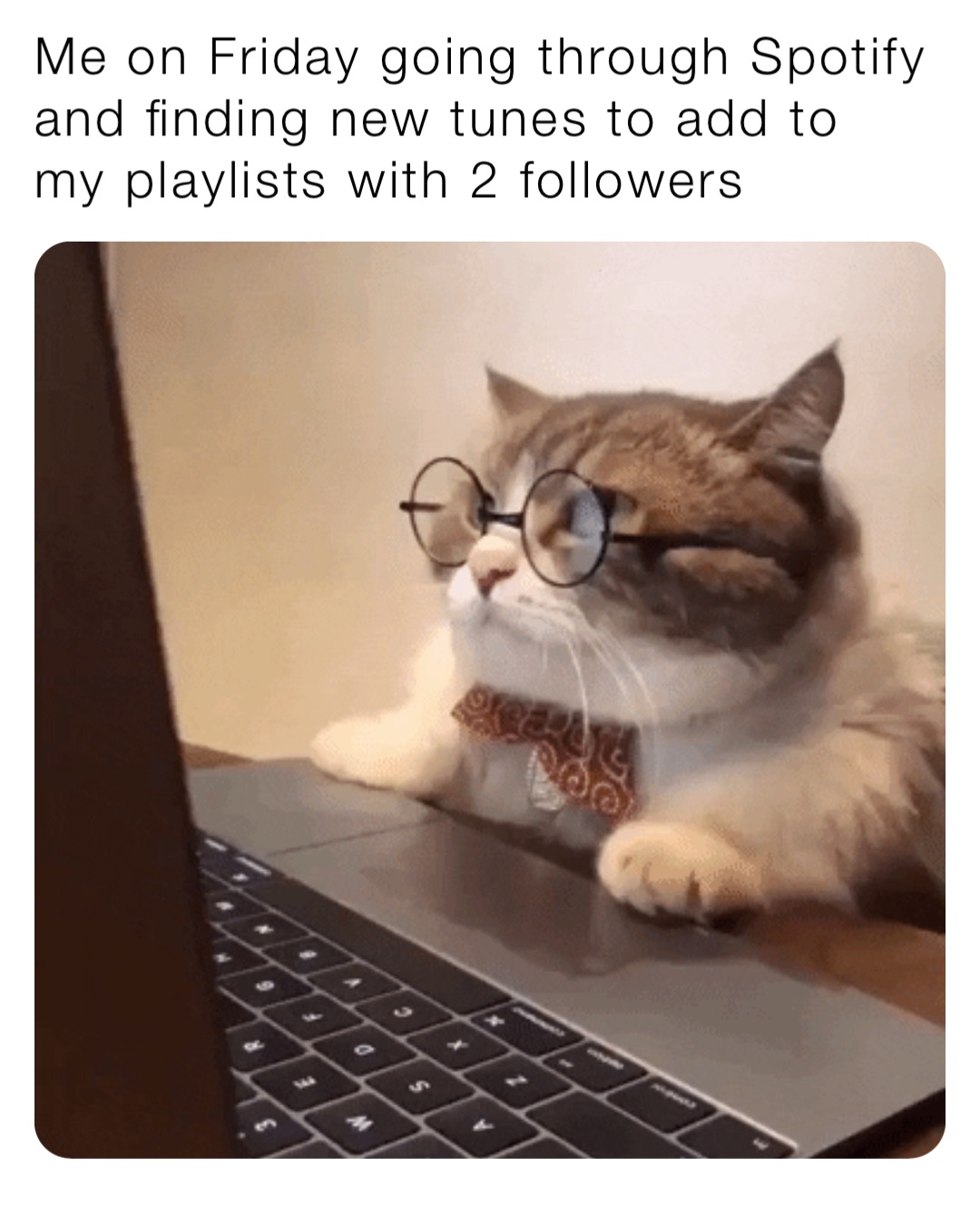 Me on Friday going through Spotify and finding new tunes to add to my playlists with 2 followers