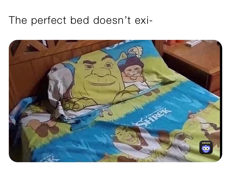 The perfect bed doesn’t exi-