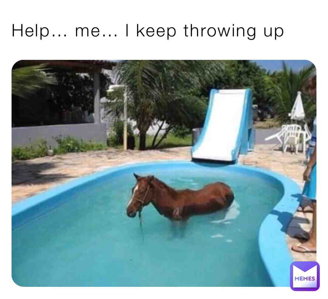 Meme preview