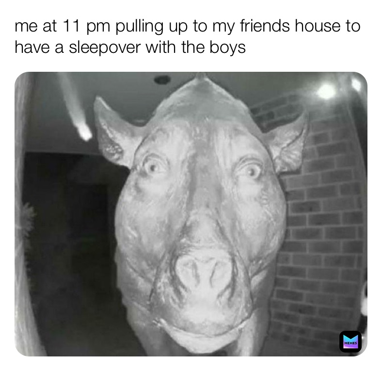 Meme by memesrule_123