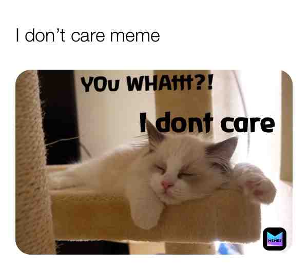 When there’s too much shit going on, sometimes you just have to ignore them 😎 #kittykimba #idontcare #catmemes #kitty #cat #pet #carefree #dontgiveaf