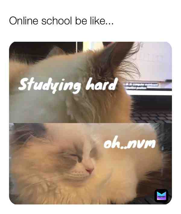 Trouble keeping eyes open during lecture #kittykimba #cat #kitten #school #college #zoommeeting #funny
