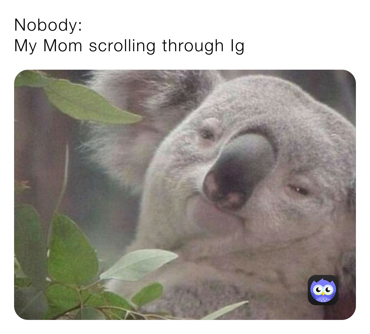 Nobody:
My Mom scrolling through Ig