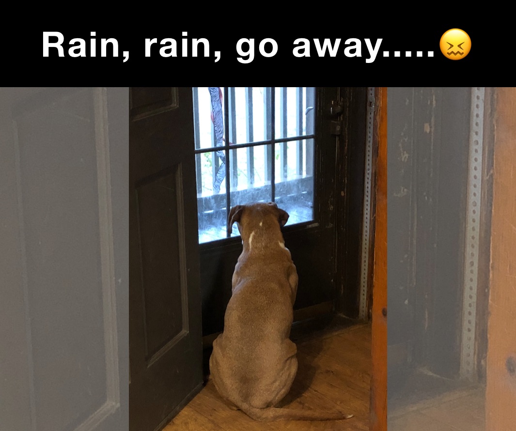 Rain Rain Go Away pierallen05 Memes