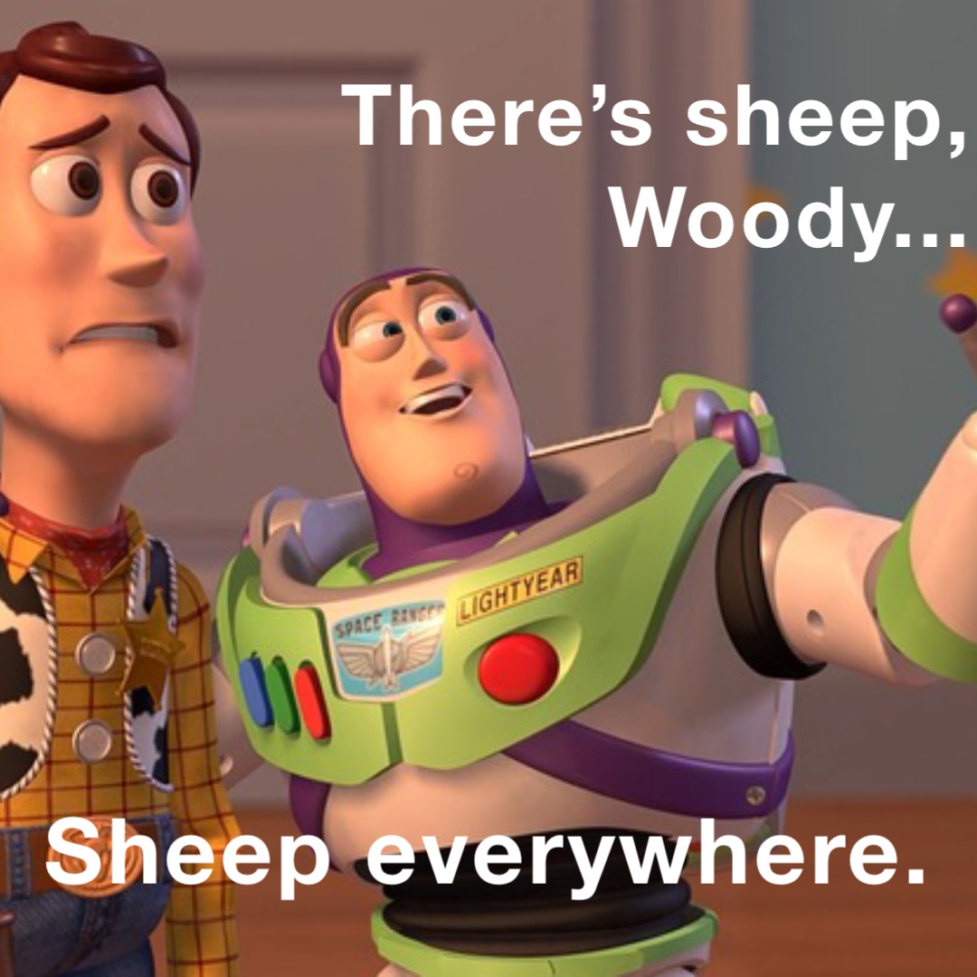 There’s sheep, Woody... Sheep everywhere.