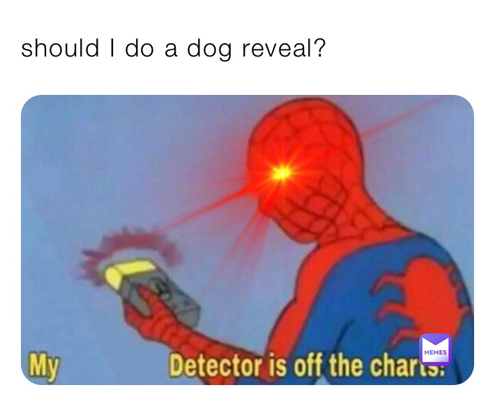 should I do a dog reveal?