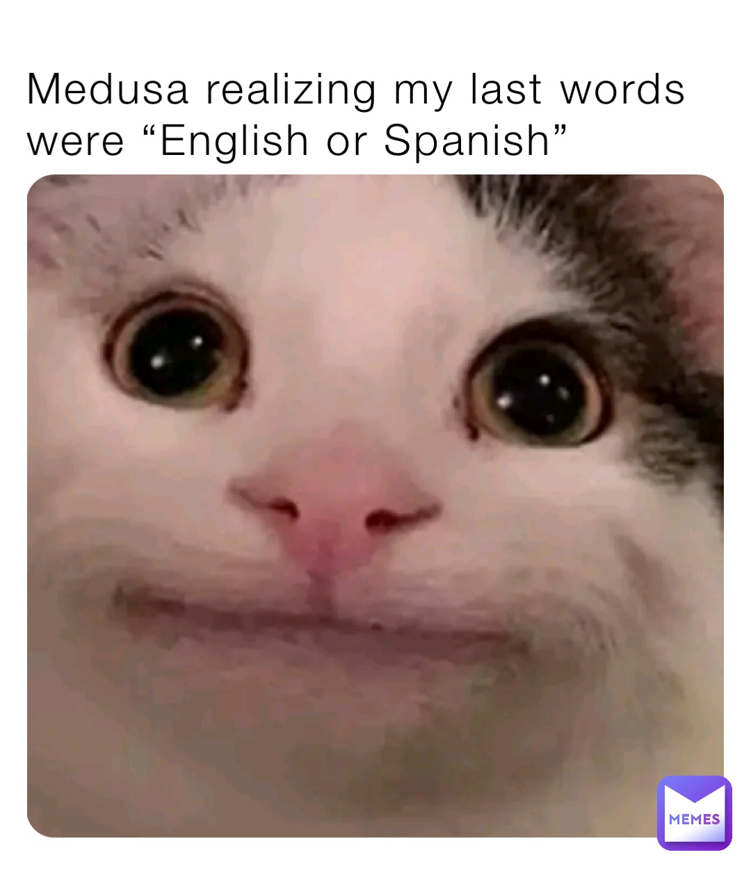 Medusa realizing my last words were “English or Spanish”