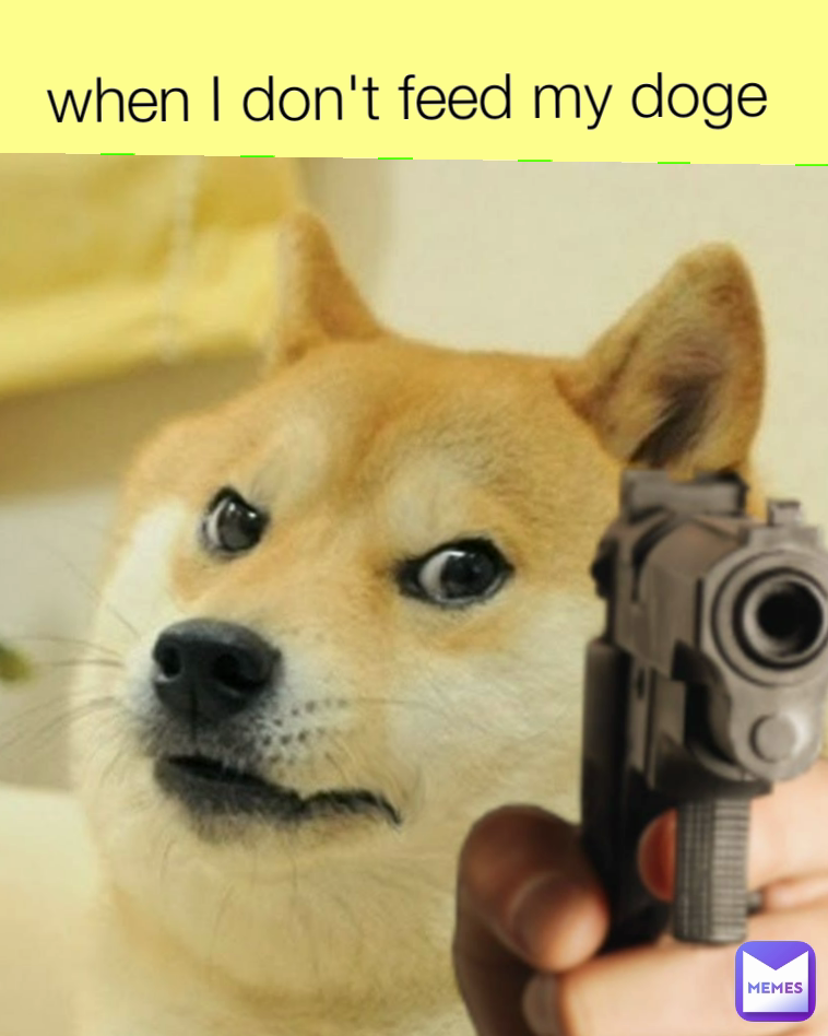 when I don't feed my doge