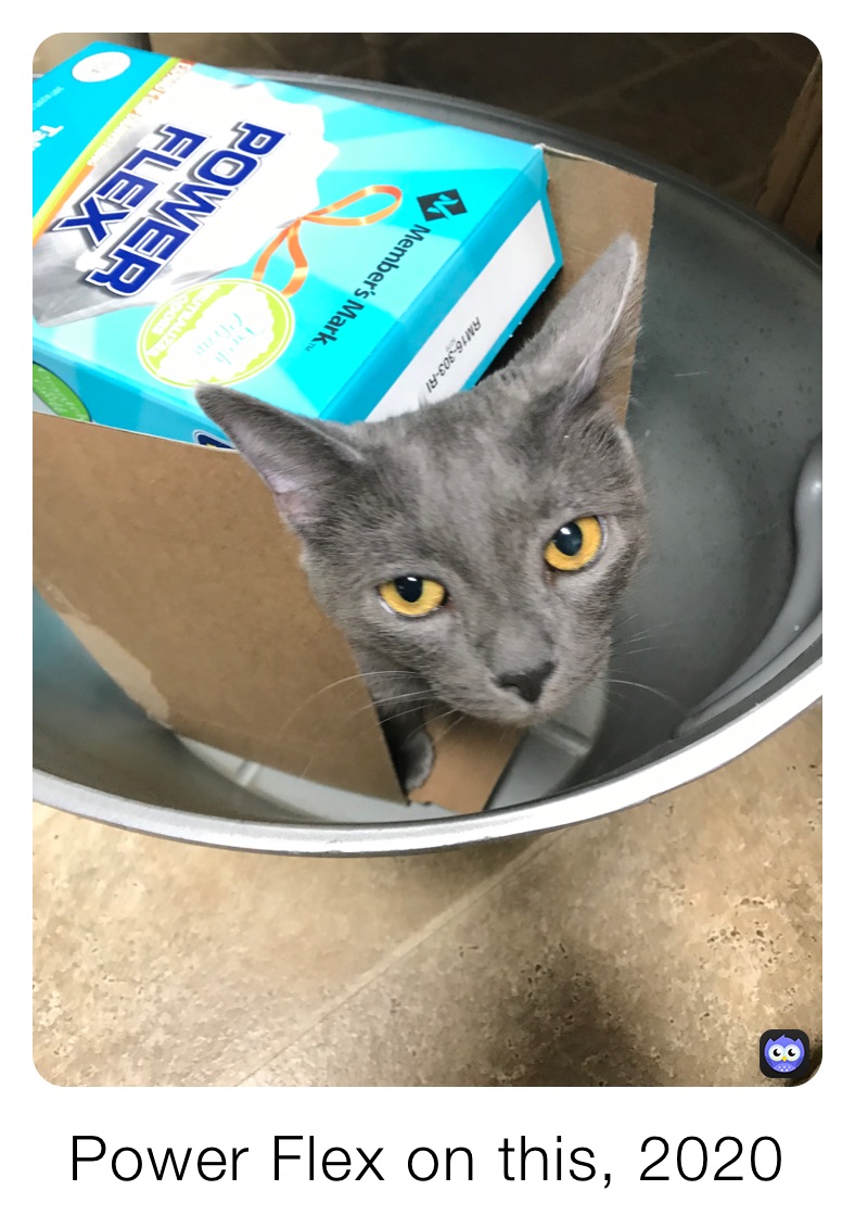 Power Flex on this, 2020