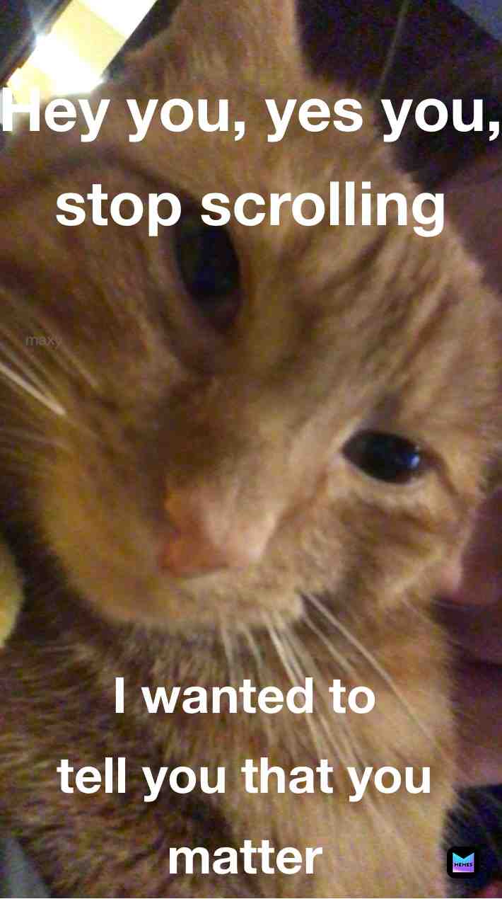 Yes you do 😊 #maxy #youmatter #motivation #inspiration #cute #cutecat #cat