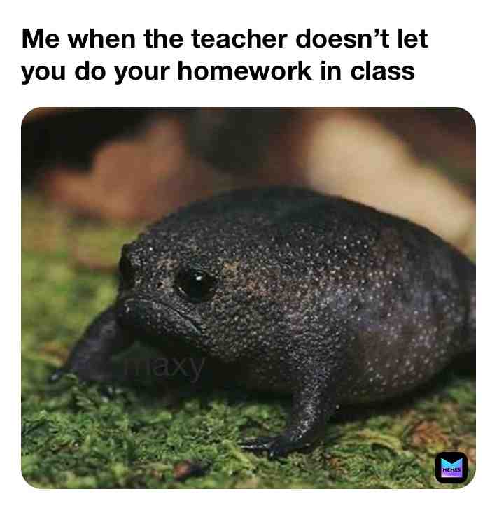 #sotrue #maxy #school #schoolsucks #schoolmemes #sad #teachermemes