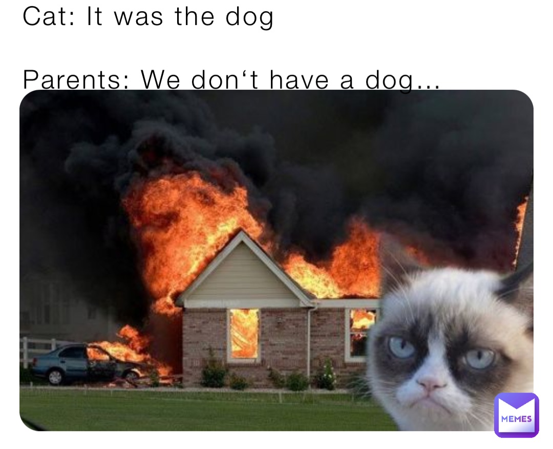 Cat: It was the dog

Parents: We don‘t have a dog…