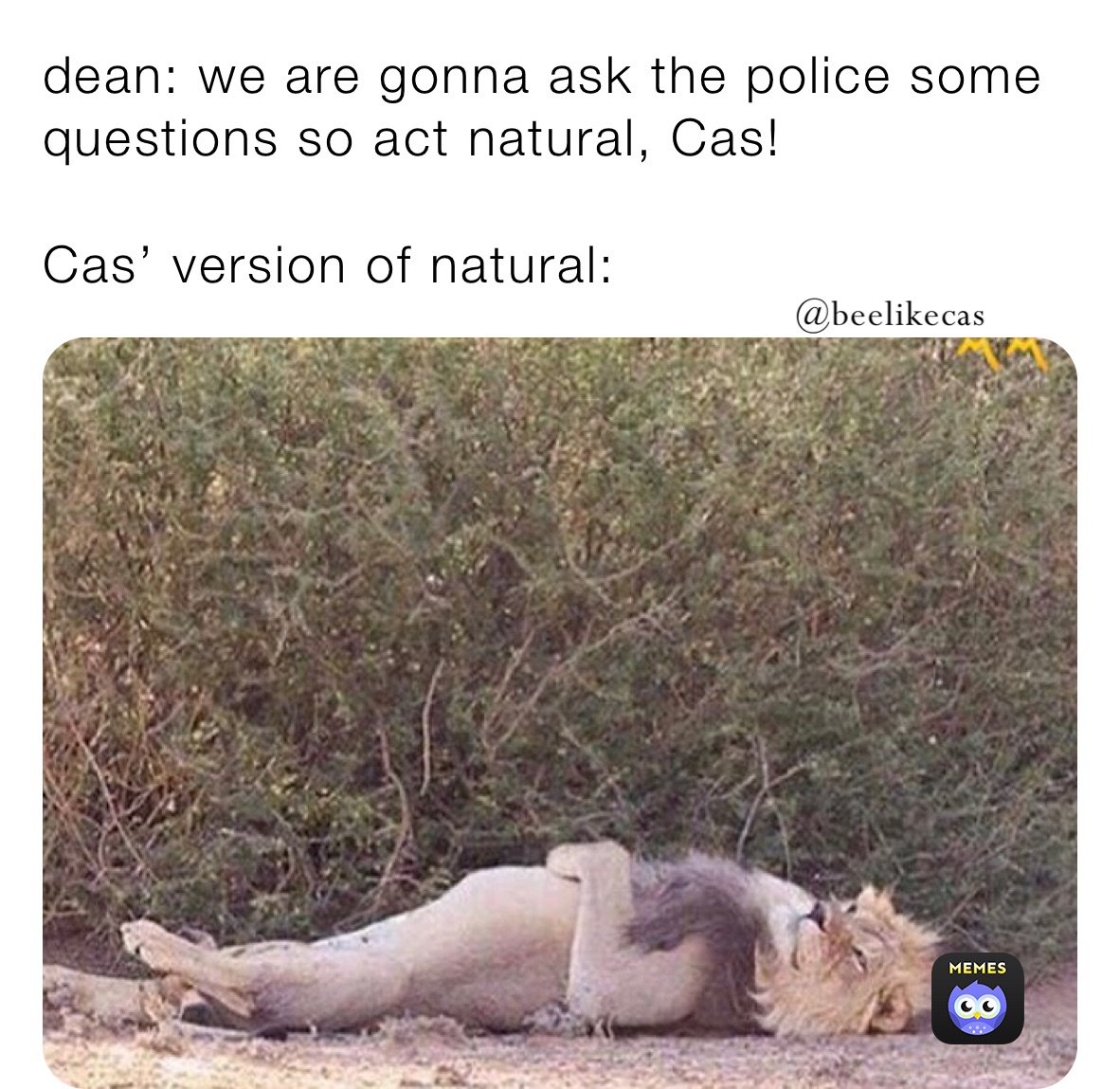 dean: we are gonna ask the police some questions so act natural, Cas!

Cas’ version of natural: