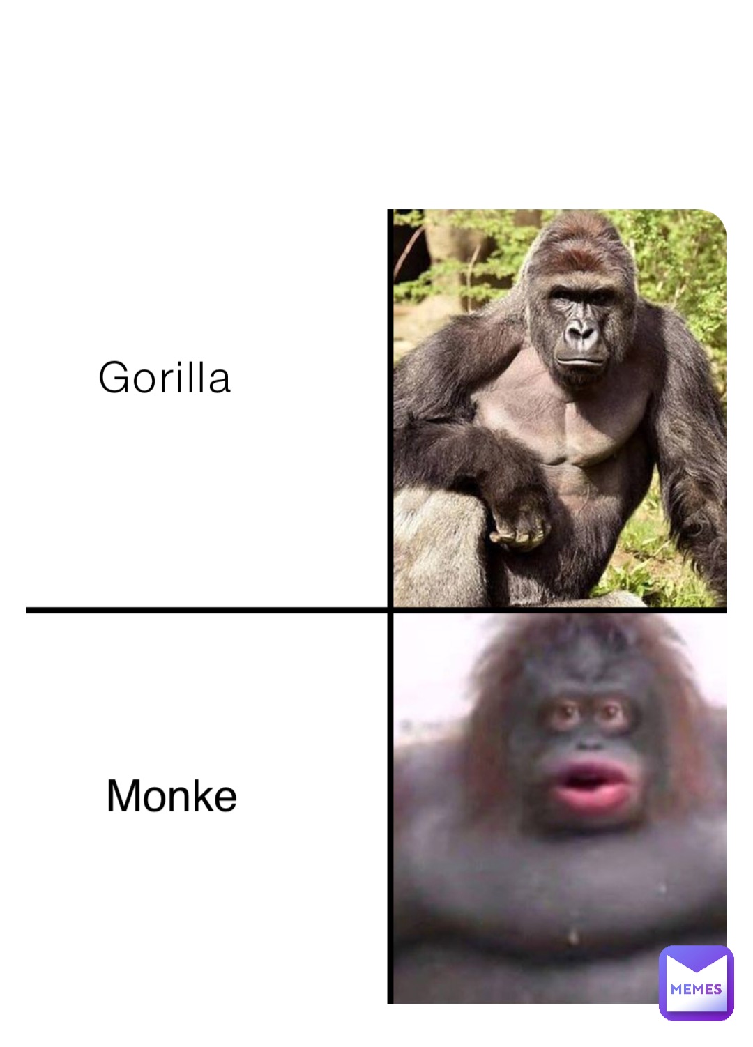 Gorilla Monke