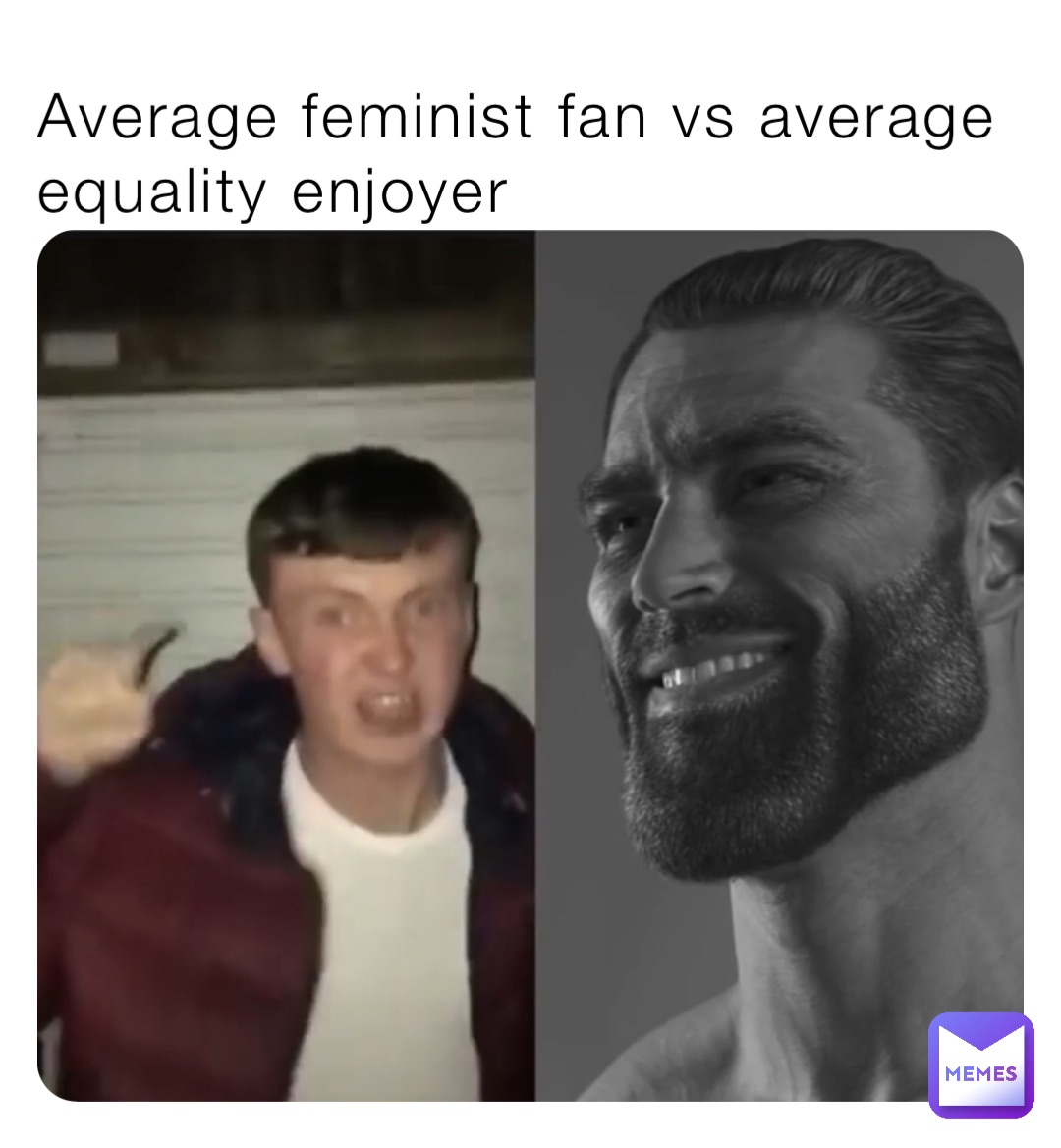 Average feminist fan vs average equality enjoyer