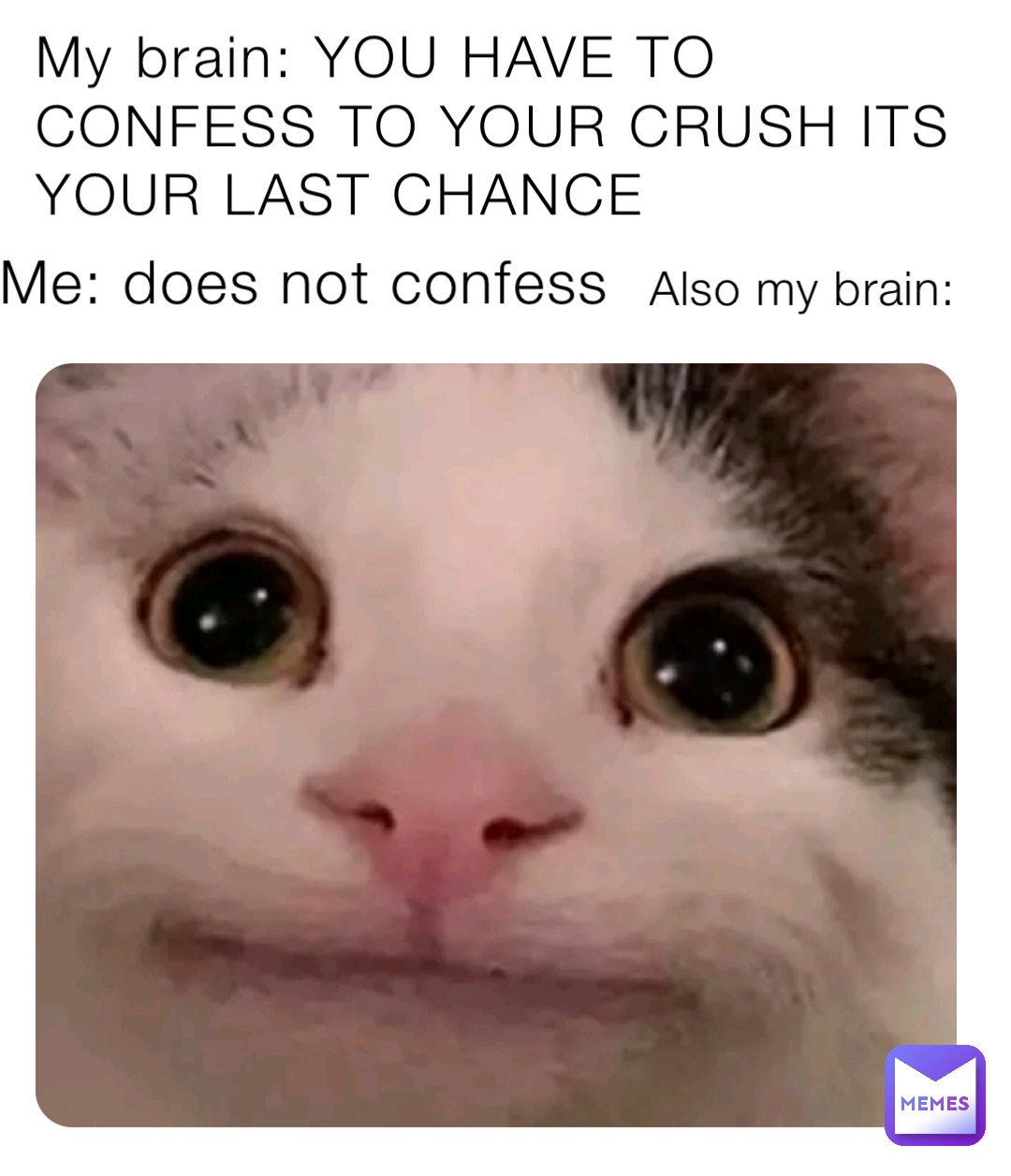 My brain: YOU HAVE TO CONFESS TO YOUR CRUSH ITS YOUR LAST CHANCE Me: does not confess Also my brain: