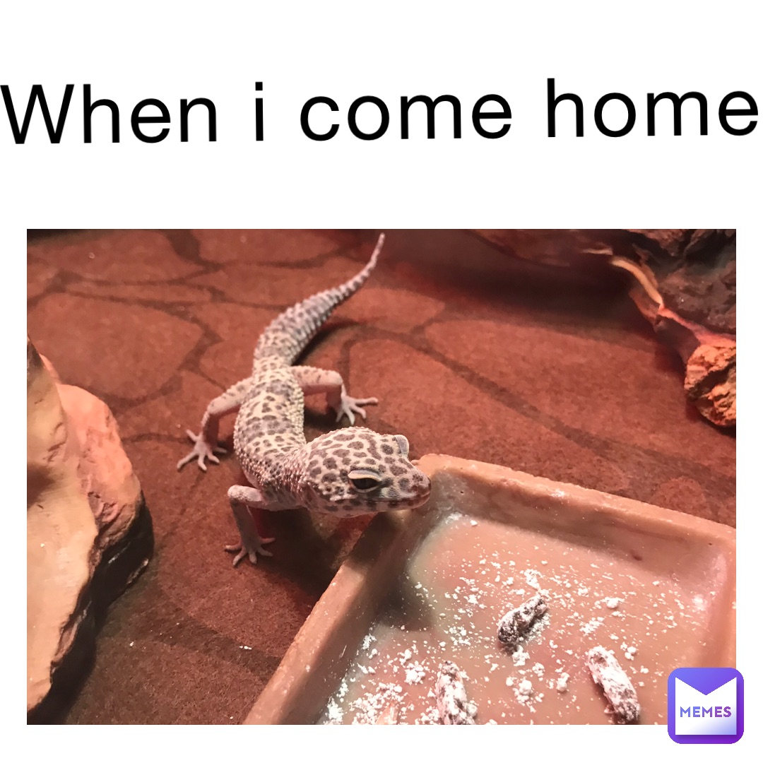 when I come home