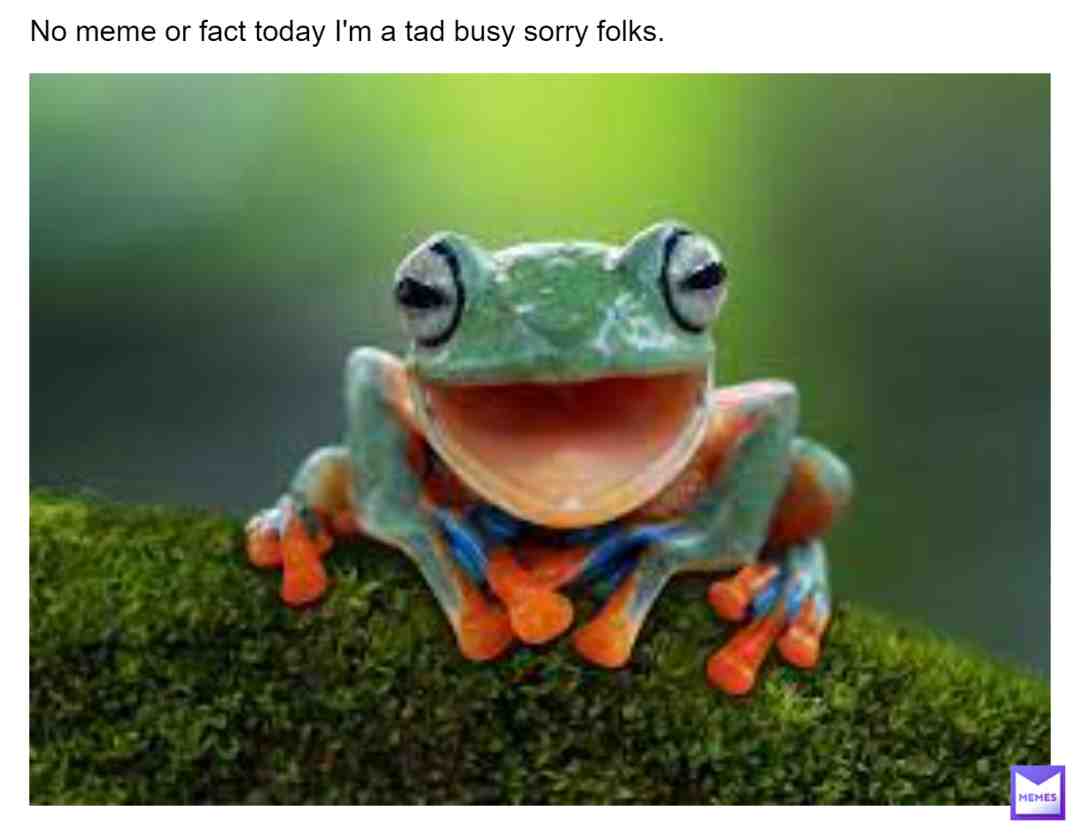 #apology #sorry #imsorry #imsorry #nomeme #nomeme