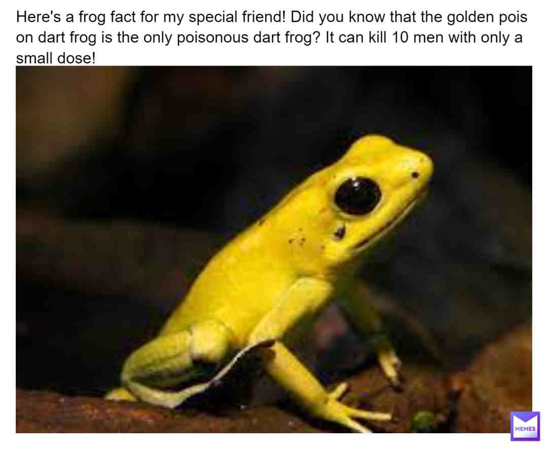 Heyo, bestie!! This one is for you! #frog #frog #frogs #frogboi #frogfact #frogfacts #froggy #frogmeme #frogcult #frogmemes #frogs4life #fact #facts #fact #factsdaily #factsssss #factz #factsfacts #factoftheday