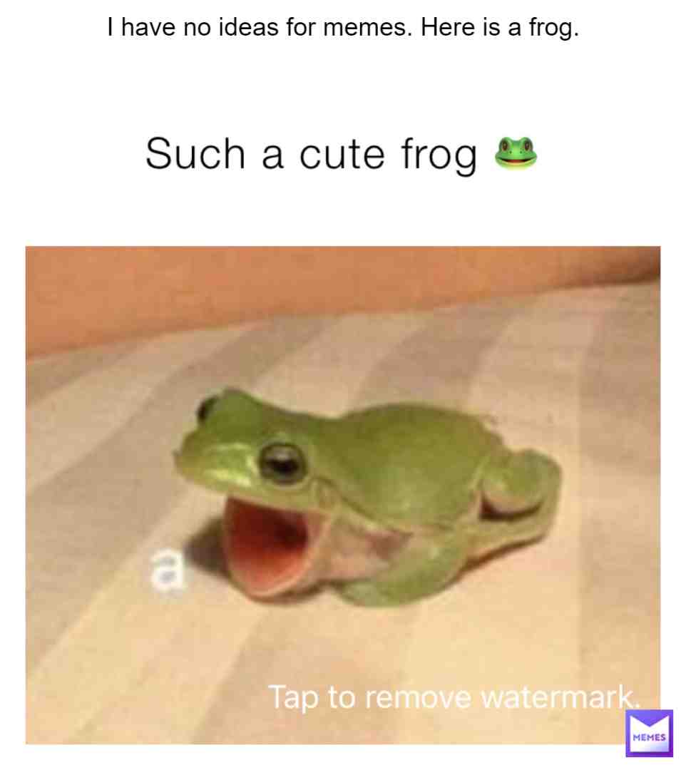 #frog #frogs