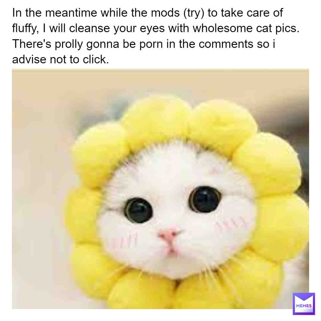Hope this makes someones day. Let's all post wholesome until they leave!