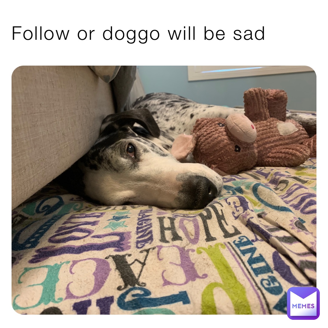 Follow or doggo will be sad