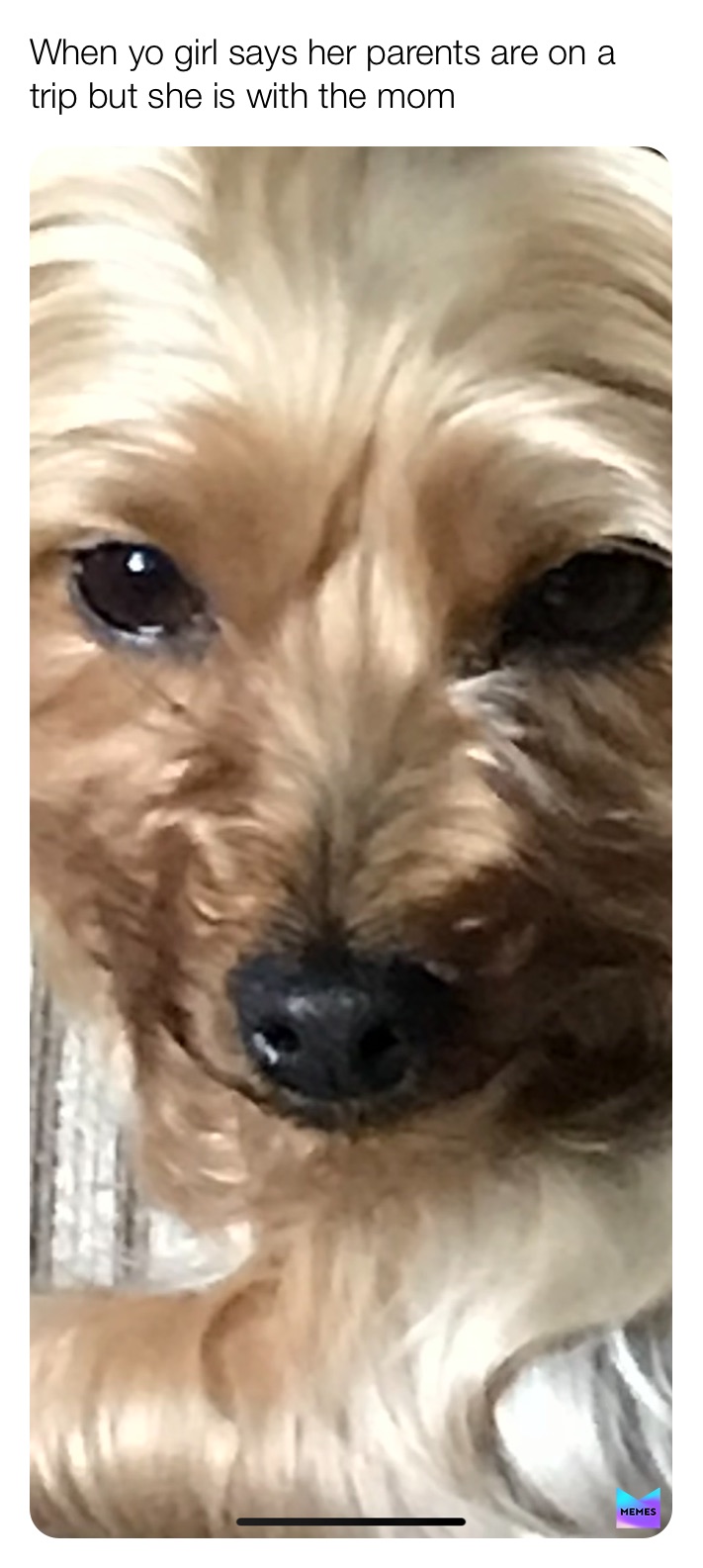 Meme by optionsniper54