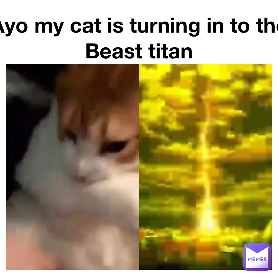 Ayo my cat is turning in to the Beast titan