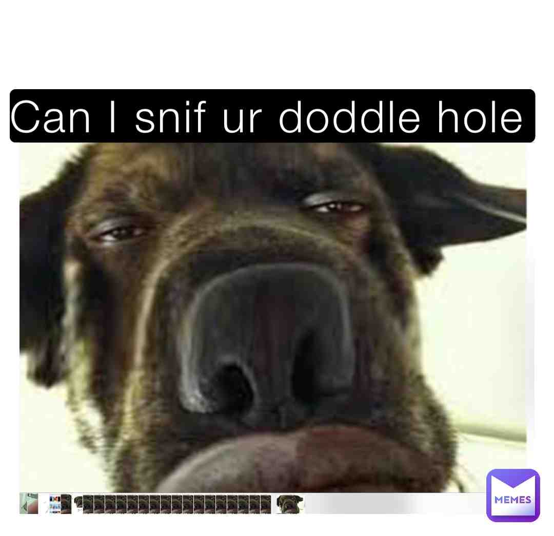 Can snif ur doddle hole