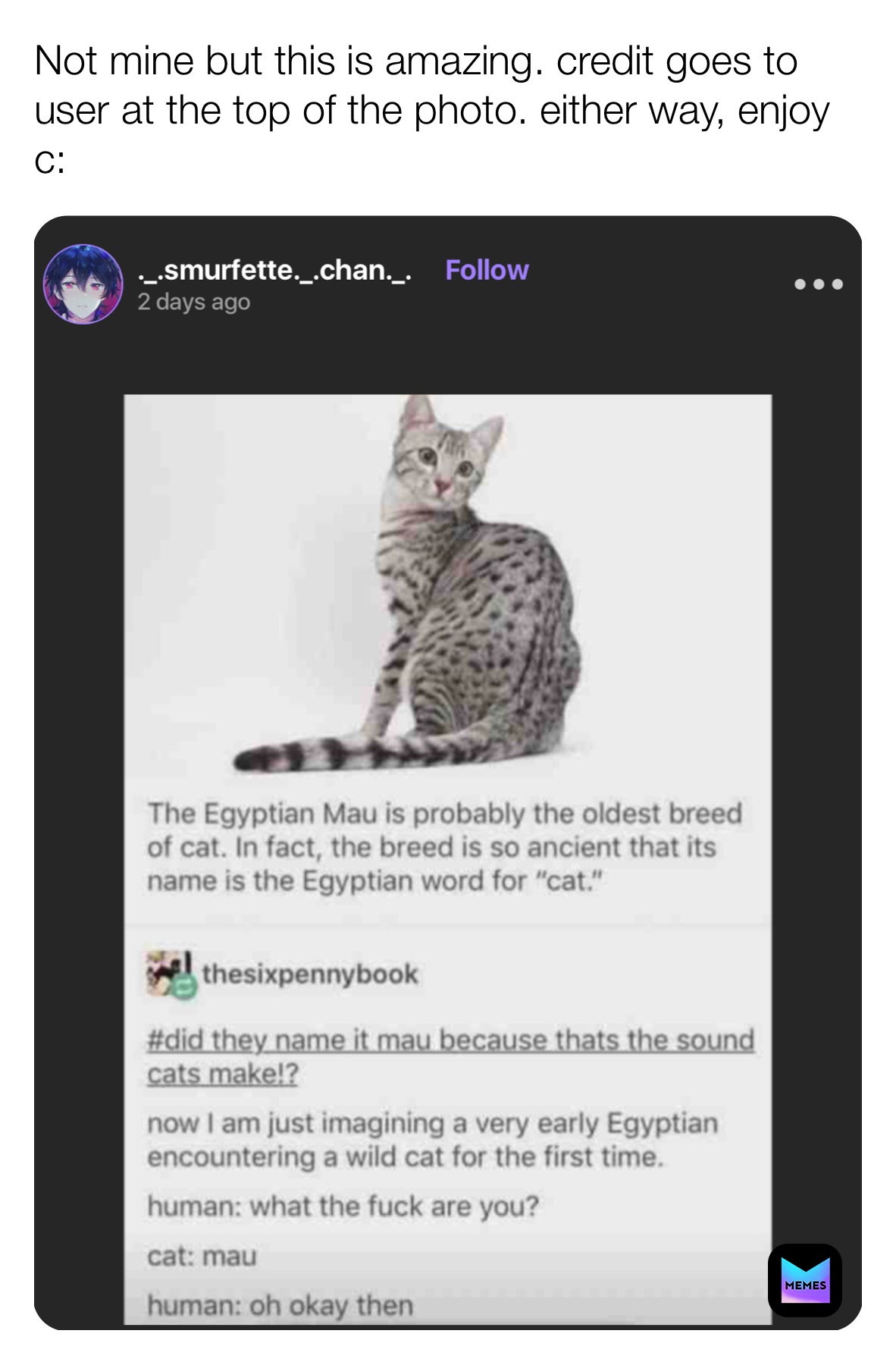 Meme by CaramelVixen_gamez