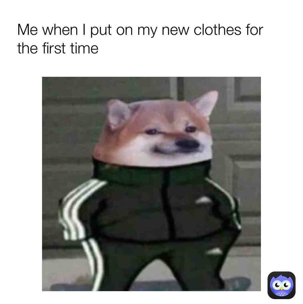 Meme shared by @MemeMan2526