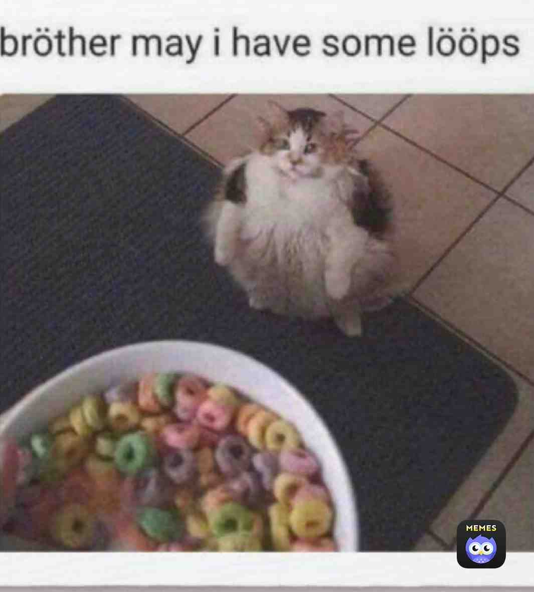Meme shared by @MemeMan2526