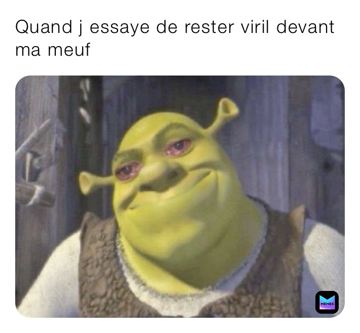 Meme by LeMoUtOnFoU