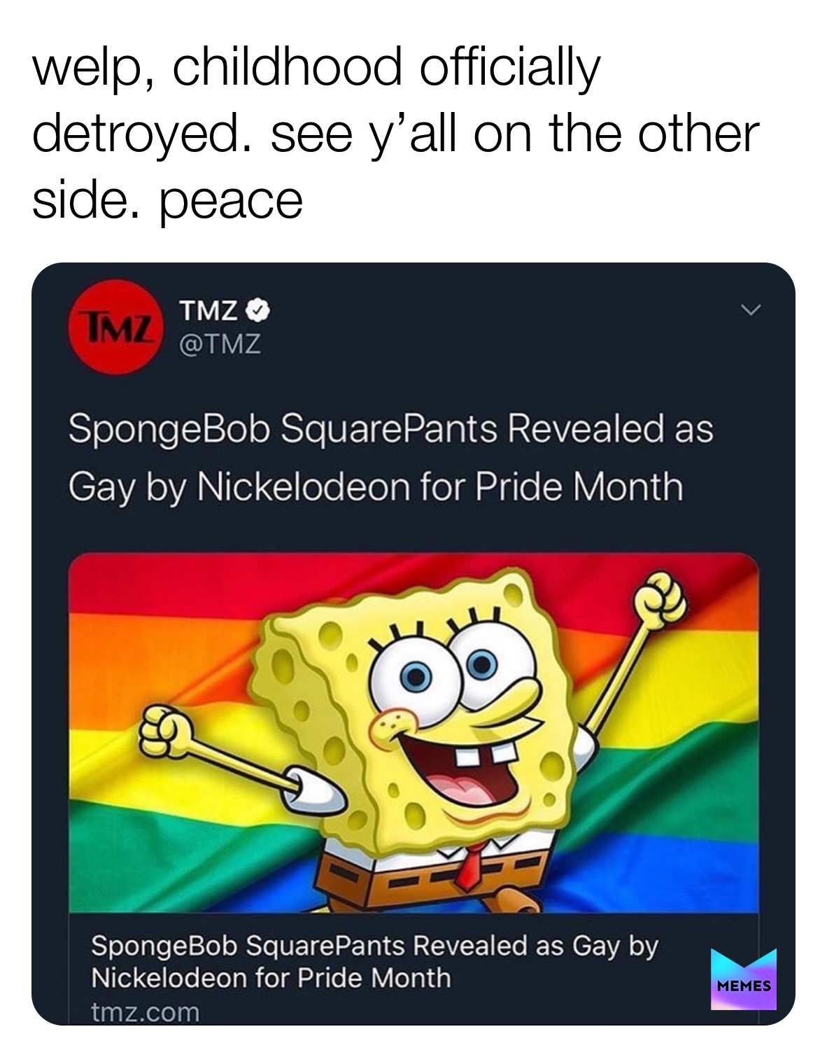 Meme by memes_for_da_boys1