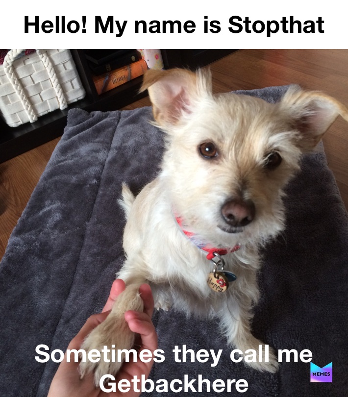 Meme by PetMomJackie