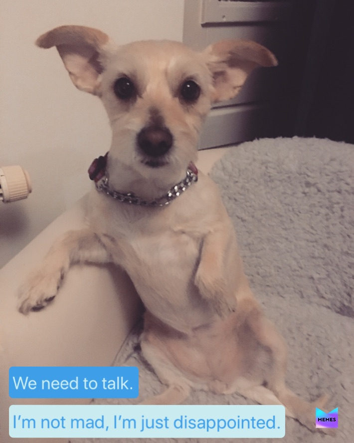 Meme by PetMomJackie