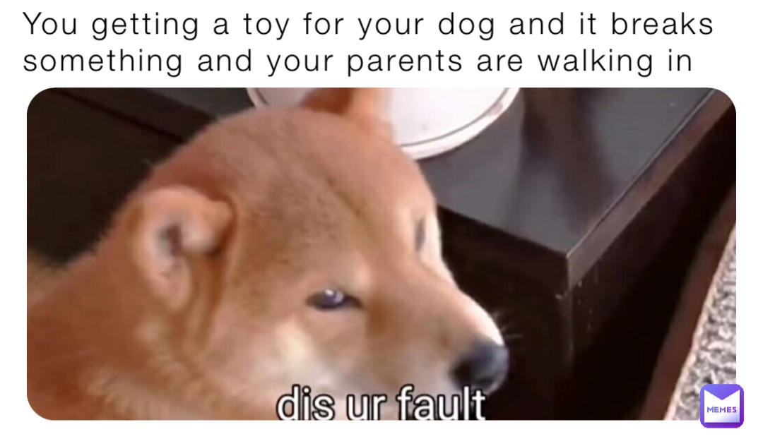 You getting a toy for your dog and it breaks something and your parents are walking in